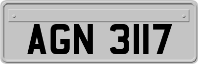 AGN3117