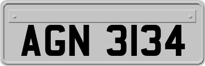 AGN3134