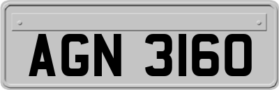 AGN3160