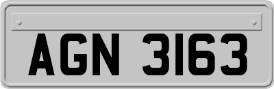 AGN3163