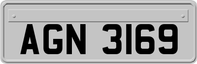 AGN3169