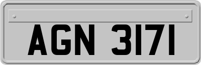 AGN3171
