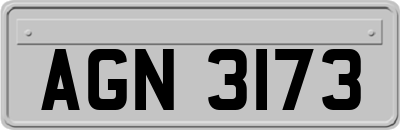 AGN3173
