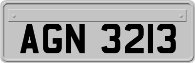 AGN3213