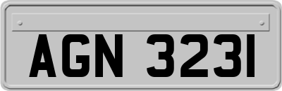 AGN3231