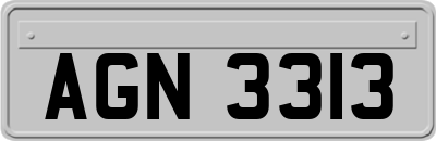 AGN3313