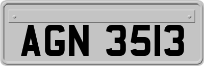 AGN3513