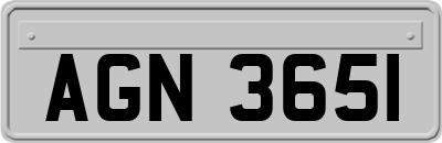 AGN3651