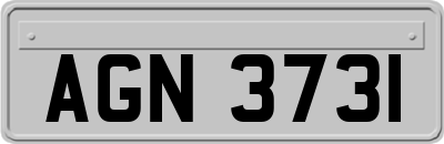 AGN3731