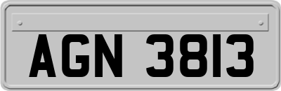 AGN3813