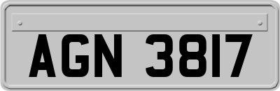 AGN3817