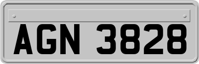 AGN3828