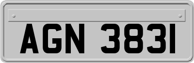 AGN3831