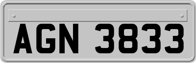 AGN3833