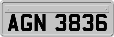 AGN3836