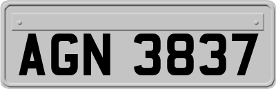 AGN3837