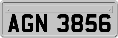 AGN3856