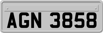 AGN3858
