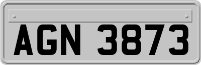 AGN3873