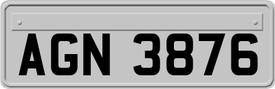 AGN3876