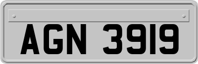 AGN3919