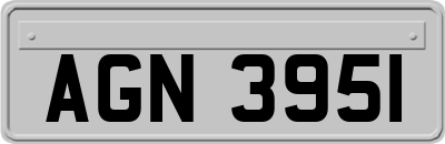 AGN3951