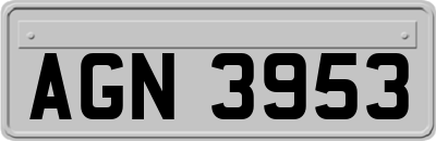 AGN3953