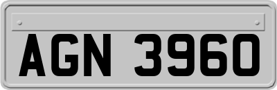 AGN3960