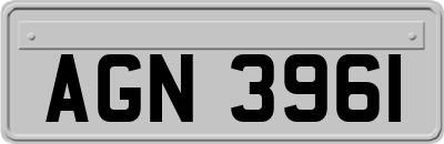 AGN3961