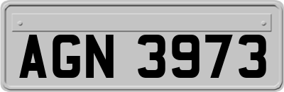 AGN3973