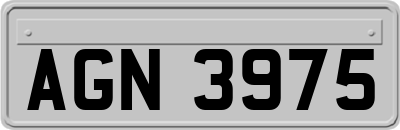 AGN3975
