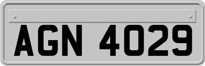 AGN4029