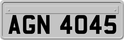 AGN4045