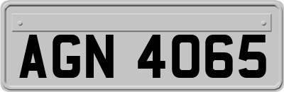 AGN4065