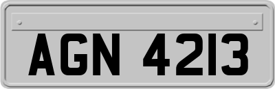AGN4213