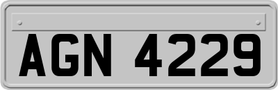AGN4229