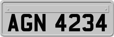 AGN4234