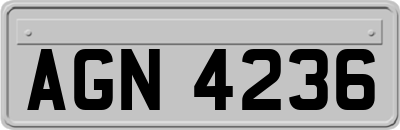 AGN4236