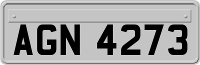 AGN4273