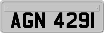 AGN4291