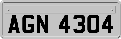 AGN4304