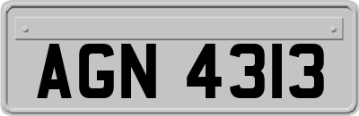 AGN4313