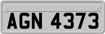 AGN4373