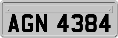 AGN4384