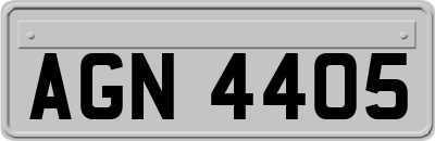 AGN4405