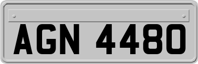 AGN4480