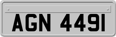 AGN4491