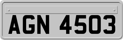 AGN4503