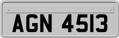 AGN4513