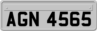 AGN4565